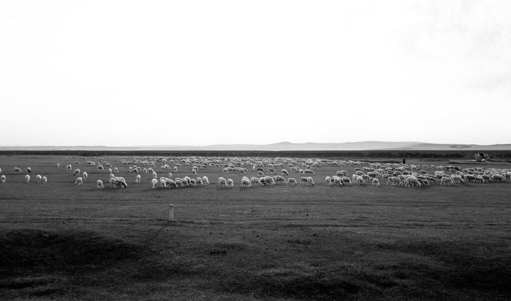 ฮอลิเดย์อินน์ แอนด์ สวีท ฮูลุนปูเอ้อ Hulunbuir ภายนอก รูปภาพ